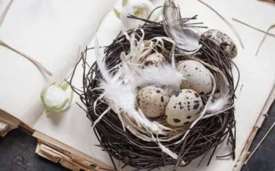 Geschenk zu Ostern: 19 wichtige Fragen und Antworten auf einen Blick!