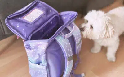 Der beste Schulranzen für die Grundschule – Leicht, robust und nachhaltig!