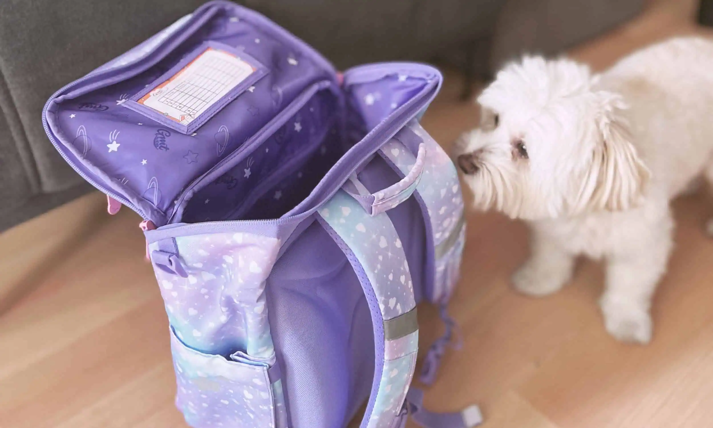 Schulranzen Schulranzen GMT