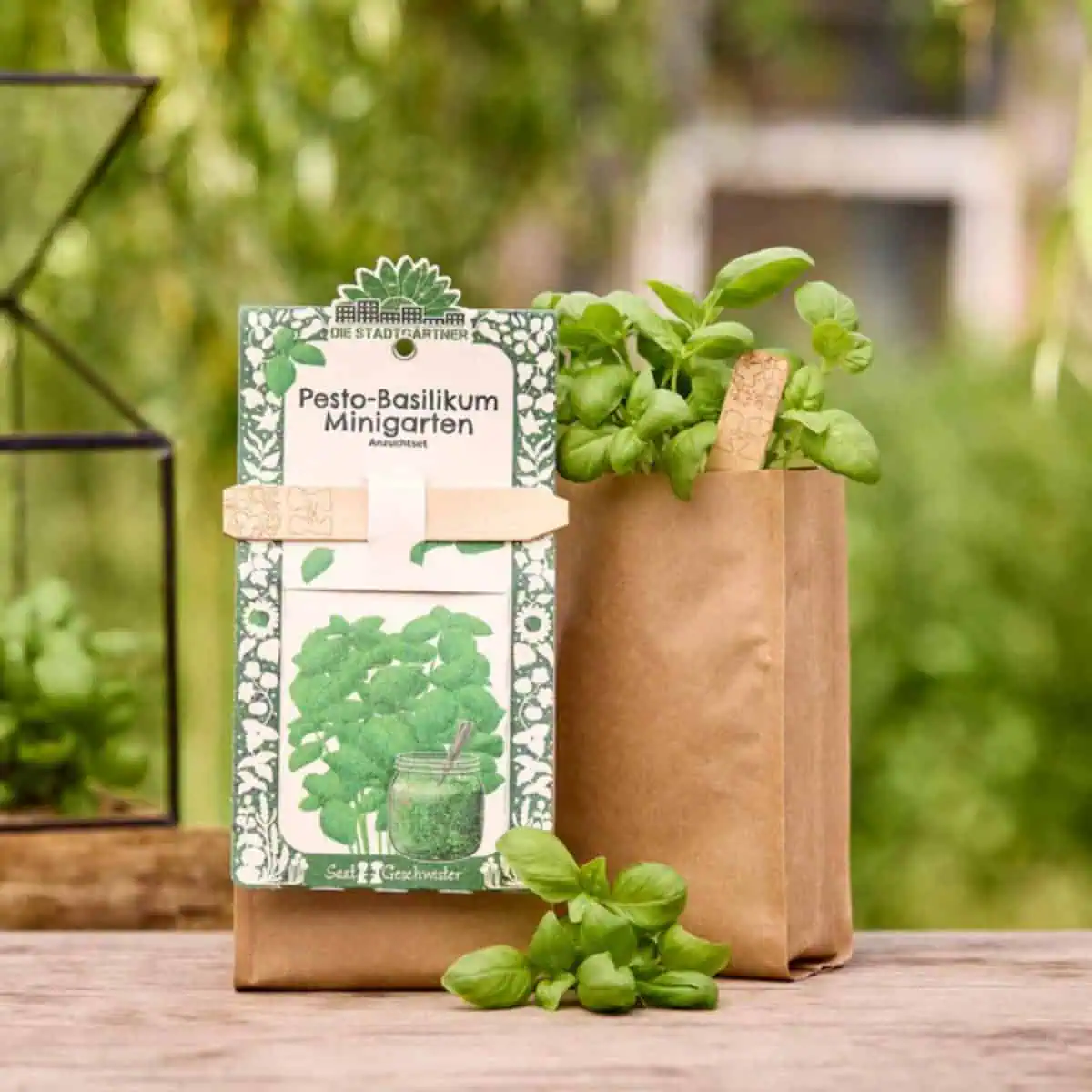 Essen Anzucht Basilikum Geschenk Essenseinladung