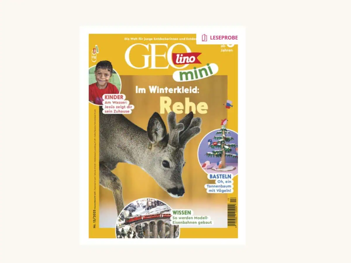 Schule Geschenke zur Einschulung