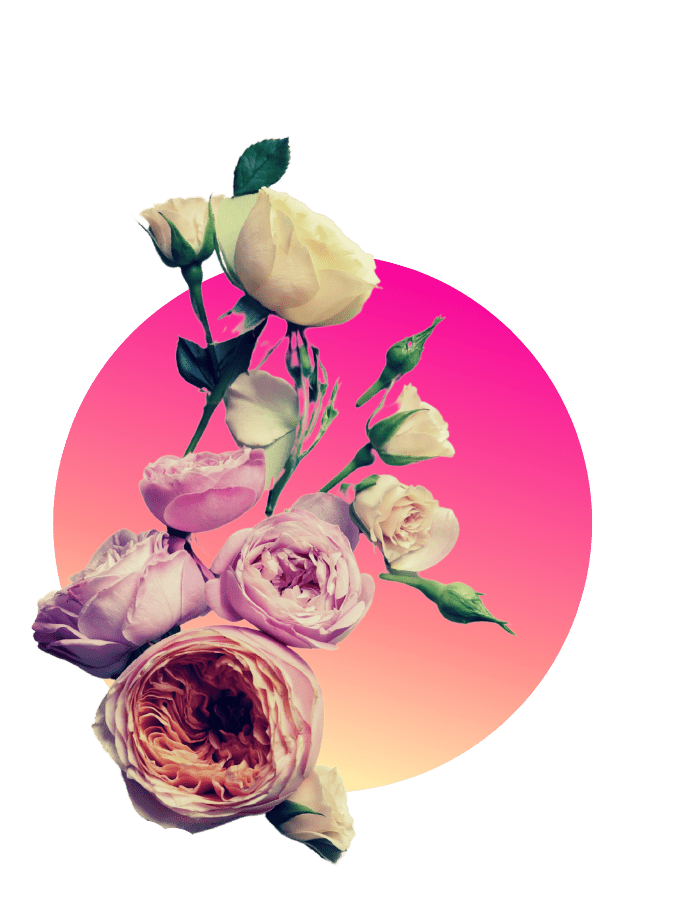Kopie von Kopie von ft(253) Muttertagsgeschenk Rosen