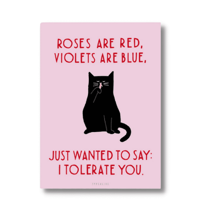 lustige valentinstagssprueche
