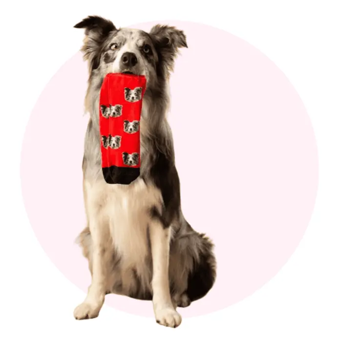 Geschenke für Hundebesitzer personalisierte Socken