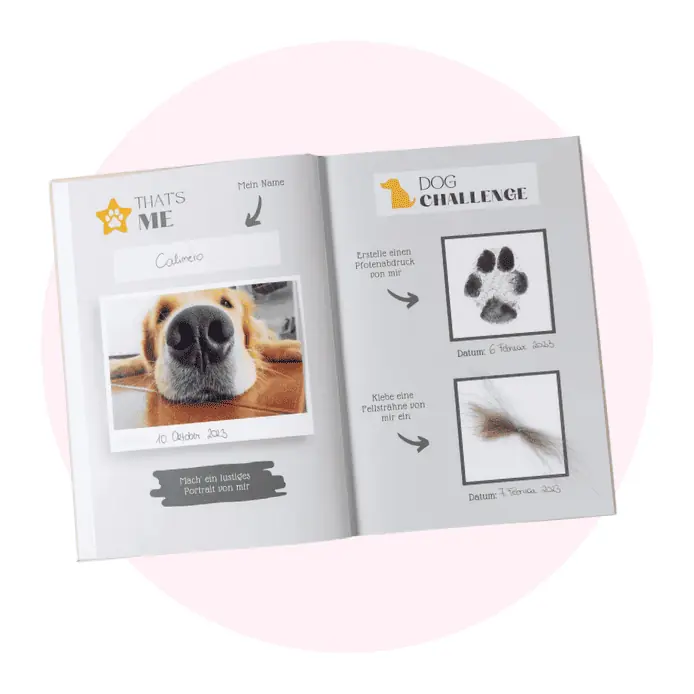 challenge book geschenke für Hundebesitzer