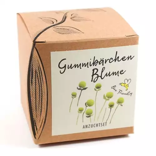 Geschenk-Anzuchtset Gummibärchenblume