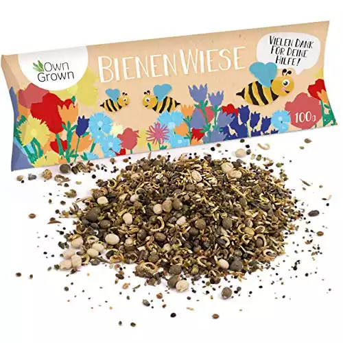 Bienenwiese Blumenmischung: 100g Premium Bienen Saatgut