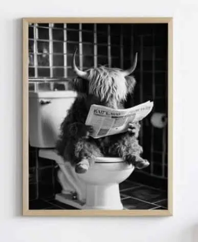 Schottisches Hochlandrind auf der Toilette | Poster