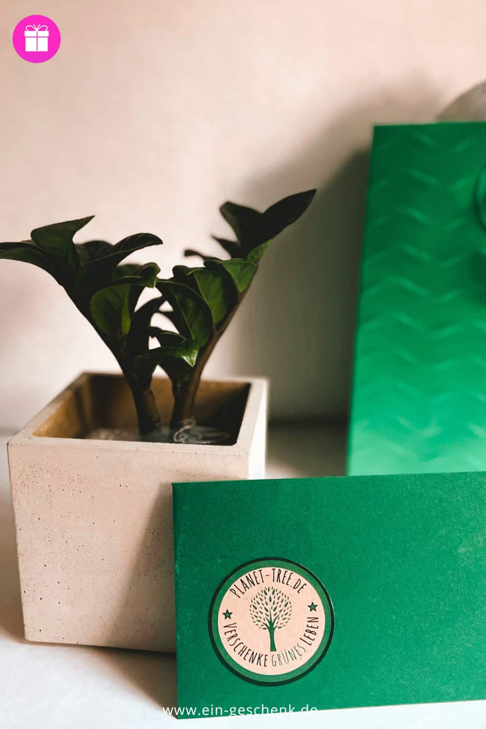 Grünpflanze planet tree Abschiedsgeschenk