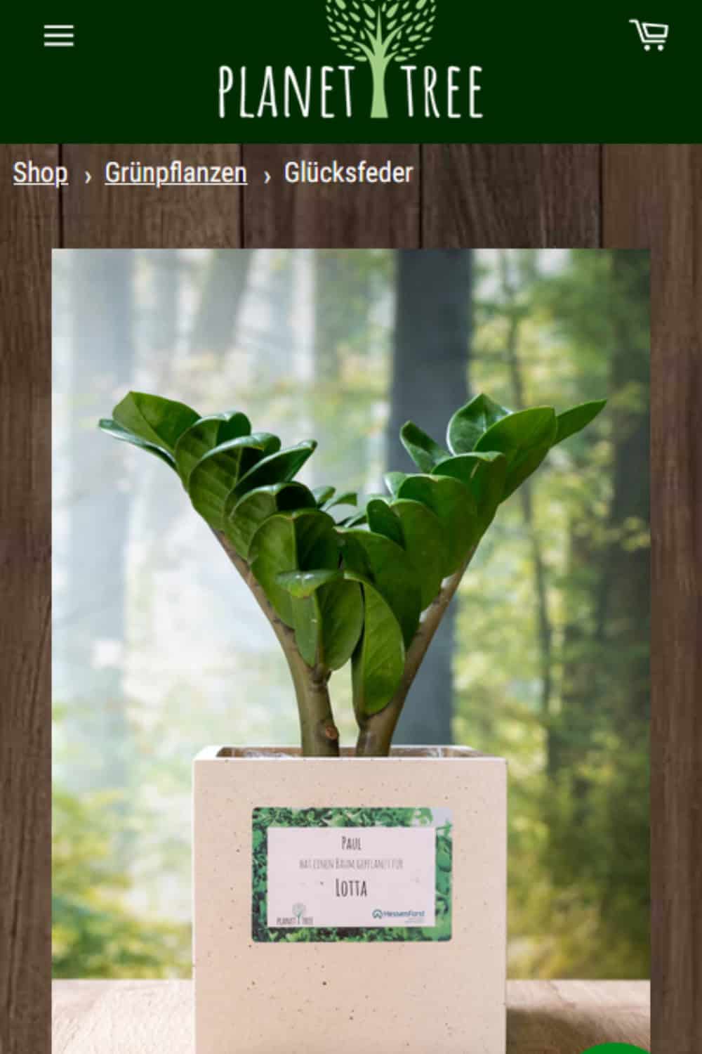 Planet tree nachhaltiges Geschenk zum Abschied