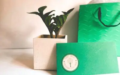 Green Gifting mit Planet Tree: Abschied feiern & Zukunft pflanzen