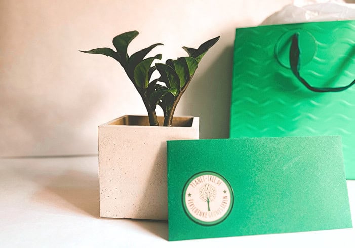 Green Gifting mit Planet Tree: Abschied feiern & Zukunft pflanzen
