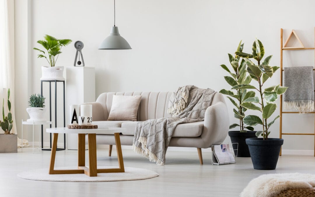 Top 5 schöne und nachhaltige Dekoartikel für das Wohnzimmer zum Verschenken