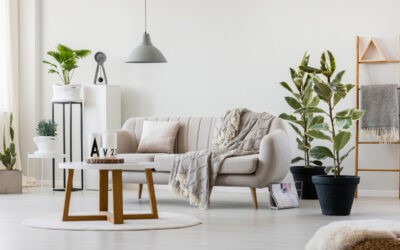 Top 5 schöne und nachhaltige Dekoartikel für das Wohnzimmer zum Verschenken